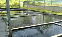 Swimming Ponds And Fish Farming