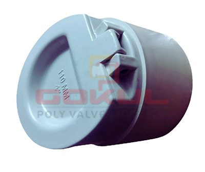 Back Flow Valve